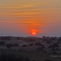 Sunset at Sam Desert